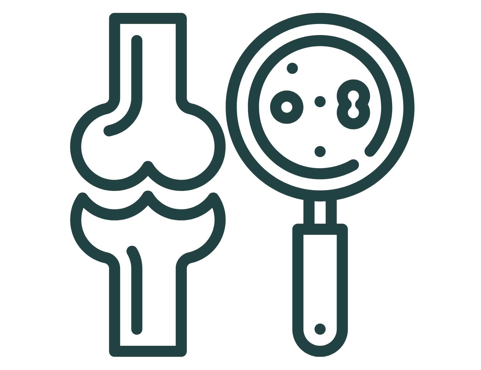 densitometria óssea